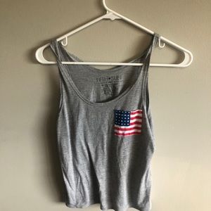 Adorable grey tan with American flag